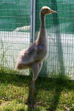 Red Blue Black - 12th June 2014 Red Blue Black - 12th June 2014